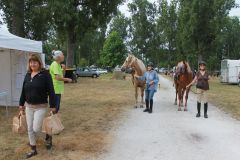 IMG_1000_resultat