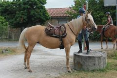 IMG_1002_resultat