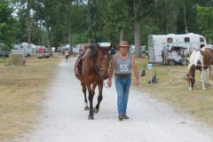 IMG_1007_resultat