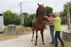 IMG_1008_resultat