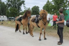 IMG_1043_resultat