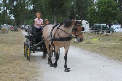 IMG_1052_resultat