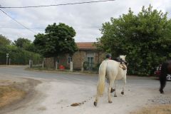 IMG_1072_resultat