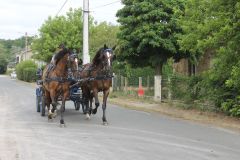 IMG_1078_resultat