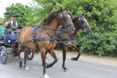 IMG_1079_resultat