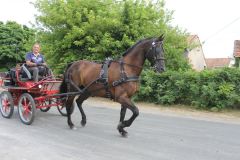 IMG_1080_resultat