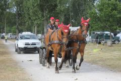 IMG_1089_resultat
