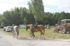 IMG_1094_resultat