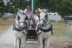 IMG_1100_resultat