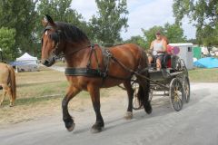 IMG_1106_resultat