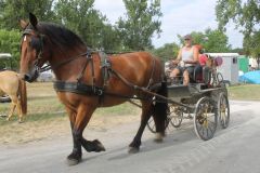 IMG_1107_resultat