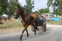IMG_1108_resultat
