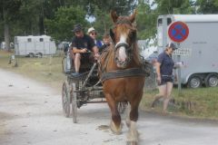 IMG_1111_resultat
