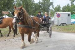 IMG_1112_resultat