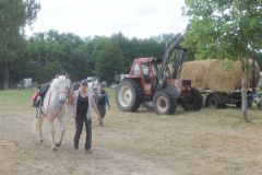 IMG_1115_resultat