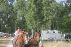 IMG_1123_resultat