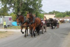 IMG_1128_resultat