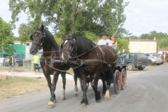 IMG_1129_resultat