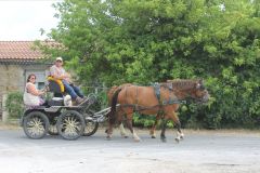 IMG_1140_resultat