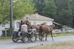IMG_1141_resultat