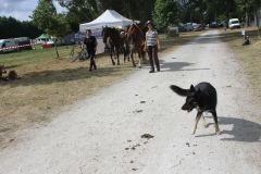 IMG_1153_resultat