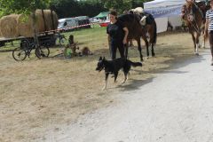 IMG_1154_resultat