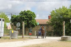 IMG_1156_resultat