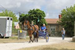 IMG_1157_resultat