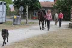 IMG_1158_resultat