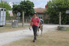 IMG_1160_resultat
