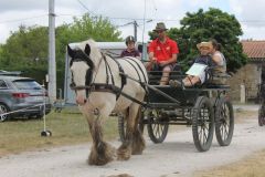 IMG_1174_resultat-Copie