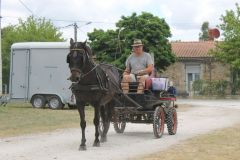 IMG_1175_resultat