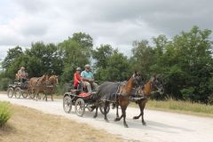 IMG_1255_resultat