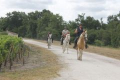 IMG_1257_resultat