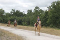 IMG_1260_resultat
