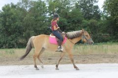 IMG_1262_resultat
