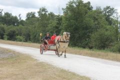 IMG_1263_resultat