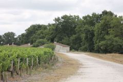 IMG_1264_resultat
