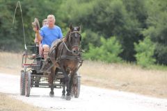 IMG_1269_resultat