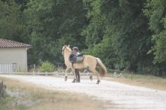 IMG_1272_resultat