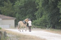 IMG_1273_resultat