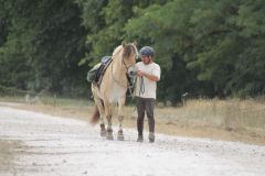 IMG_1275_resultat