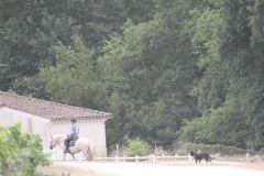 IMG_1278_resultat