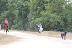 IMG_1280_resultat