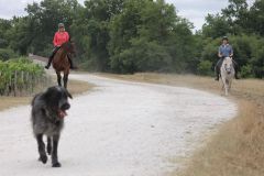 IMG_1281_resultat