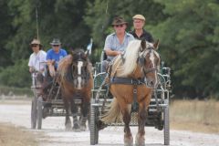 IMG_1284_resultat