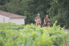 IMG_1286_resultat
