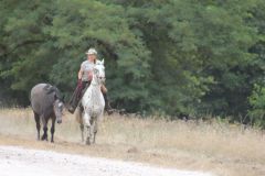 IMG_1290_resultat