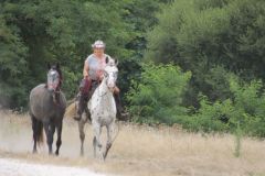 IMG_1291_resultat