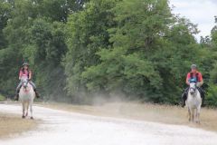 IMG_1293_resultat